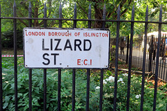 IMG 2916-001-Lizard Street EC1