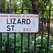 IMG 2916-001-Lizard Street EC1