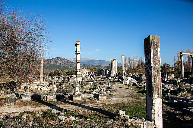 20151205 9630VRAw [R~TR] Aphrodisias