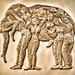 Elephants everywhere! Elephant Relief from Aliya Hotel, Sigiriya
