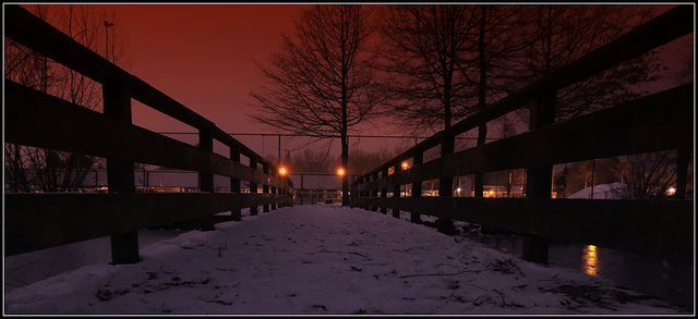 Winter Fence ---    (enlarged please it's great )