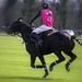 Apremont - Polo