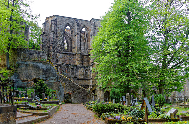 Bergfriedhof mit Blick zur Klosterruine