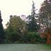 Fulbourn garden 2010-11-15 002