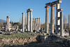 20151205 9631VRAw [R~TR] Aphrodisias