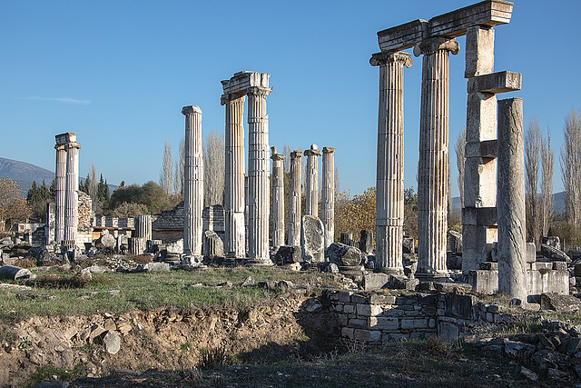 20151205 9631VRAw [R~TR] Aphrodisias