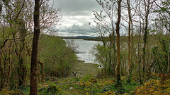 Dromore Loch