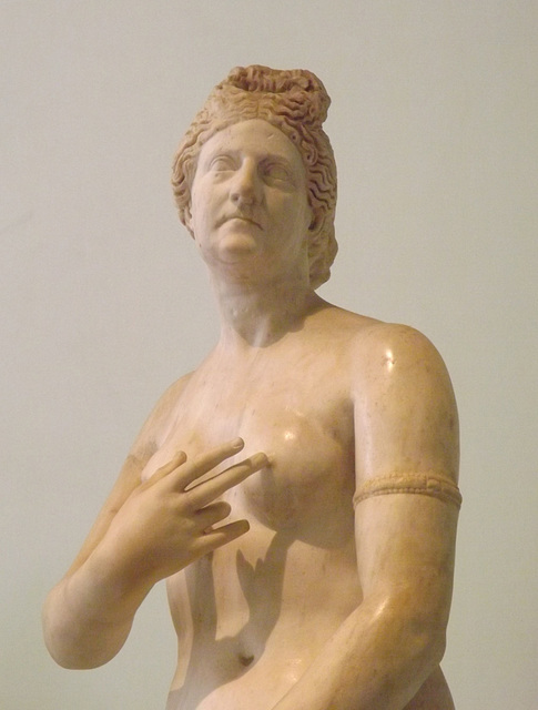CDetail of the Capitoline-type Aphrodite with a Portrait Head in the Naples Archaeology Museum, July 2012