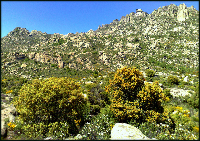 La Sierra de La Cabrera, spring.
