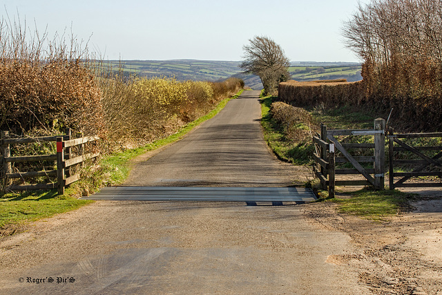 Exmoor,