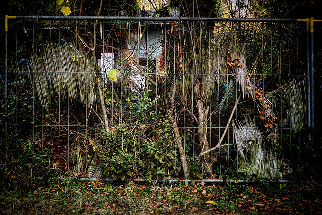 „Jungle-Fence“ - HFF