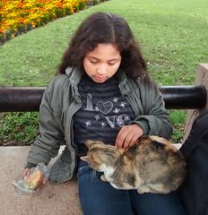 HFB with a cat and 10 more  PIPS with more cats of the Parque Kennedy.