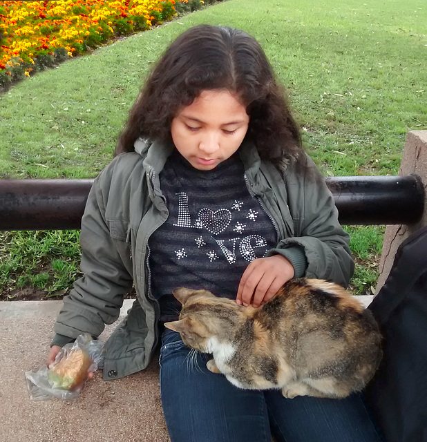 HFB with a cat and 10 more  PIPS with more cats of the Parque Kennedy.