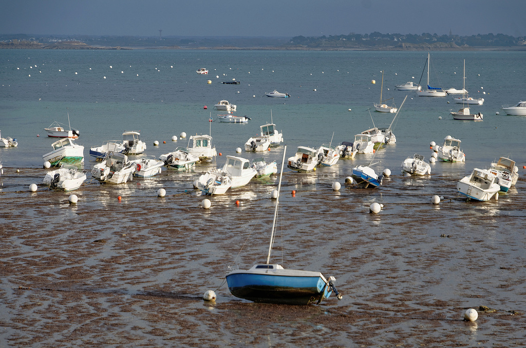 Marée basse