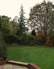 Fulbourn garden 2010-11-13 006