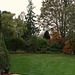 Fulbourn garden 2010-11-13 006