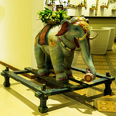 Elephants everywhere! Elephant from Aliya Hotel, Sigiriya