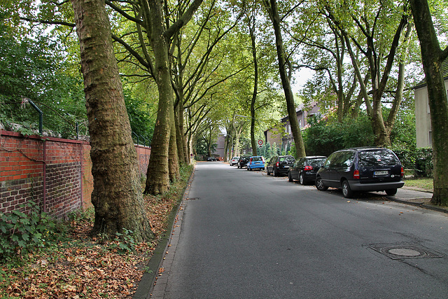 Kastanienallee (Wanne-Eickel) / 26.08.2017