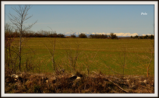 Pesadas de Burgos (PiB-5/5)