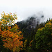 Herbst in den Bergen