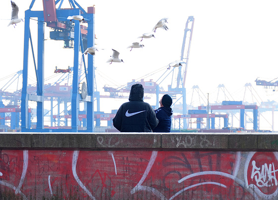 Manche Leute können es nicht lassen, Möwen zu füttern... - Hamburg