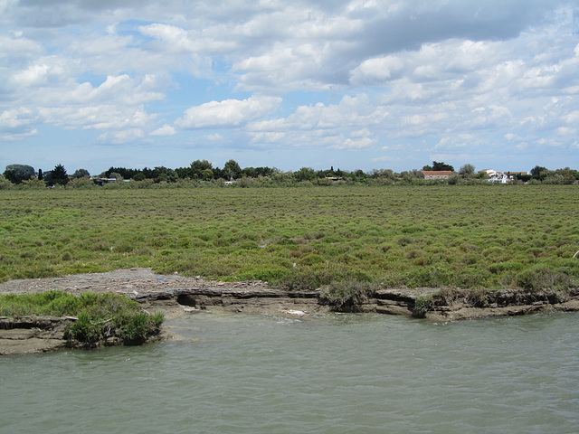 La Camargue