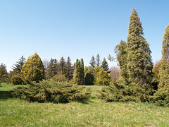 В дендропарке заповедника Аскания Нова / In the Arboretum of the Askania Nova Reserve
