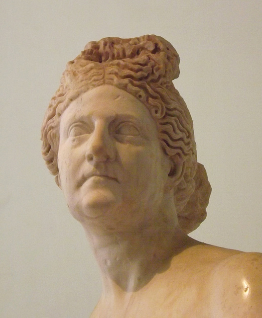 Detail of the Capitoline-type Aphrodite with a Portrait Head in the Naples Archaeology Museum, July 2012