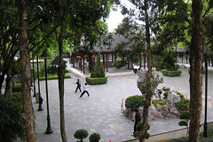 Tai Chi At Kowloon Walled City Park