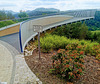 Skywalk in Ostrau bei Bad Schandau