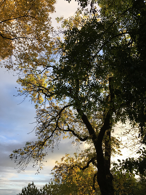 Liège en Automne