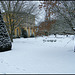 garden in the snow