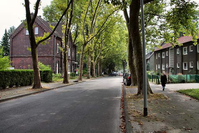 Kastanienallee (Wanne-Eickel) / 26.08.2017