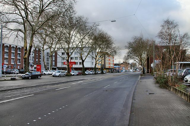 Alleestraße (Bochum) / 14.01.2019