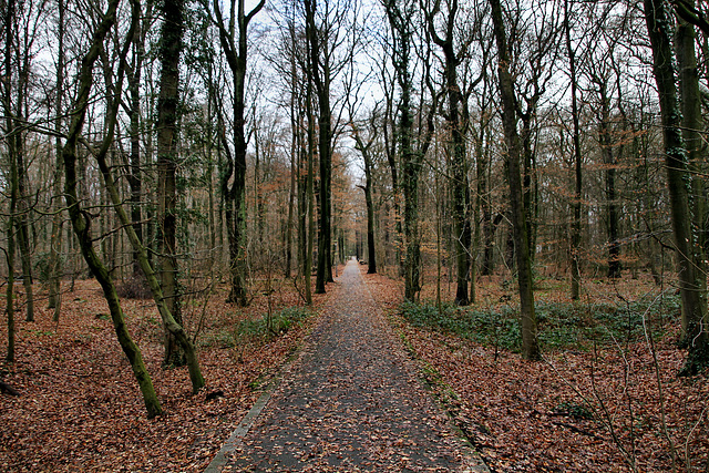 Waldweg (Gladbeck-Zweckel) / 24.12.2022