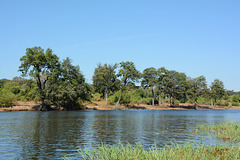 Botswana, The Right Bank of the River of Chobe