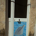 Dolphin of Sado estuary.