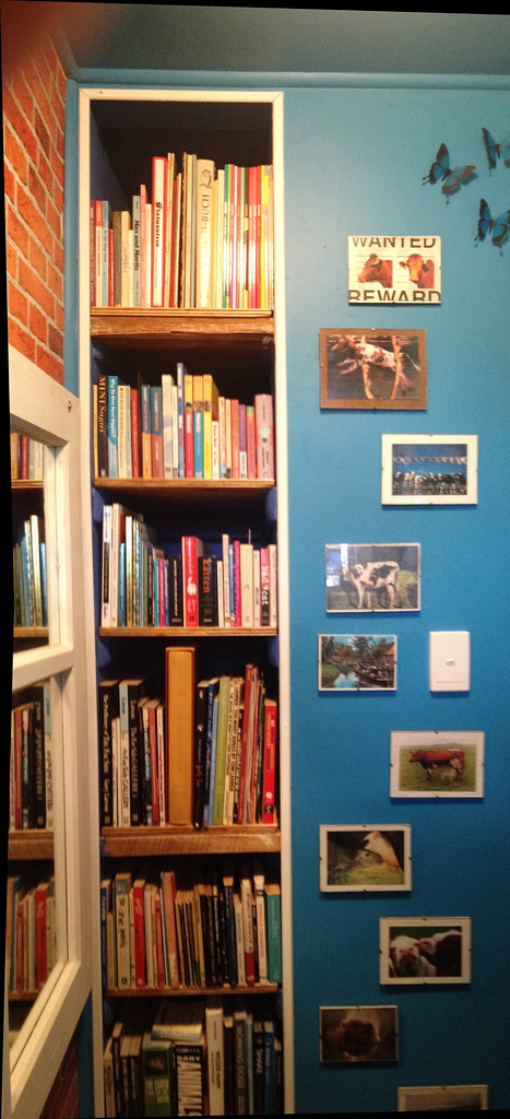 new bookshelf in the toilet!