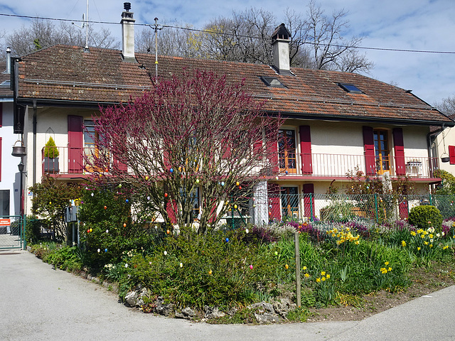 Der Frühling scheint angekommen zu sein