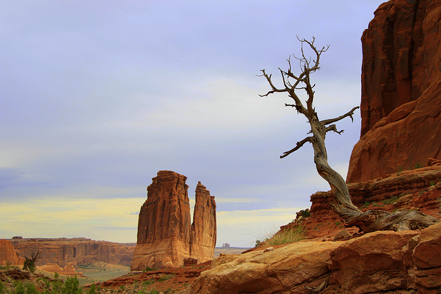 Arches National Park