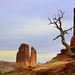 Arches National Park