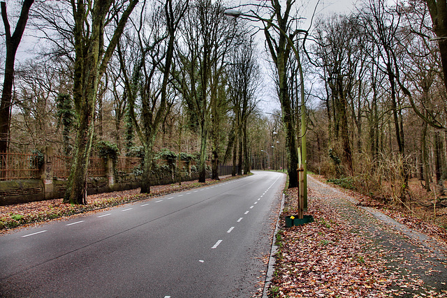 Frentroper Straße (Gladbeck-Zweckel) / 24.12.2022