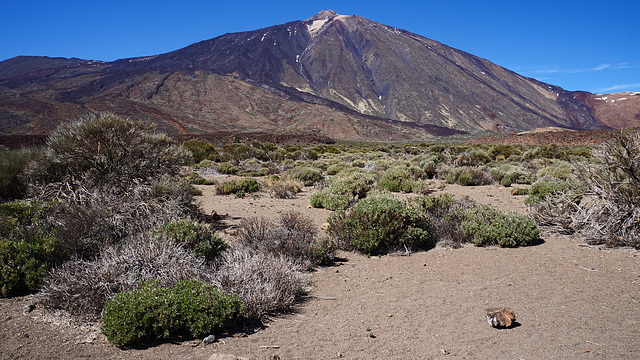 MT Teide, Tenerife