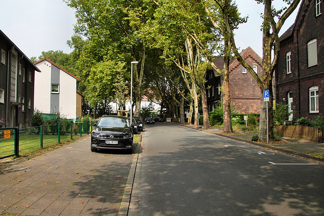 Kastanienallee (Wanne-Eickel) / 26.08.2017