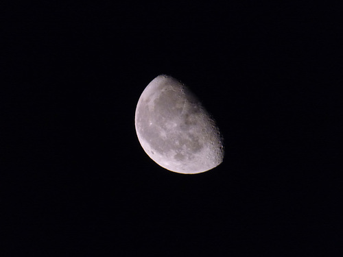 Waning gibbous