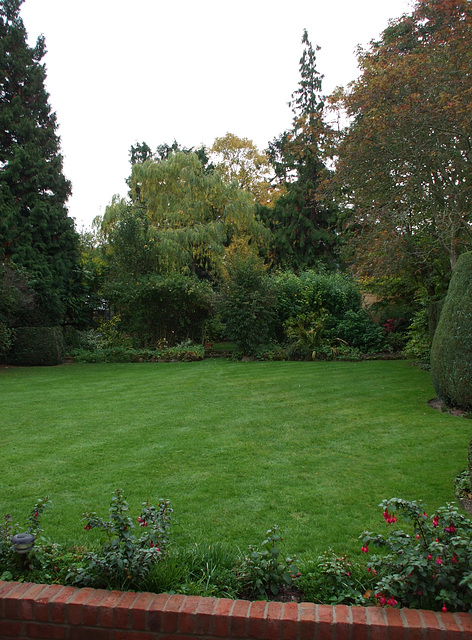 Fulbourn garden 2010-10-31 002