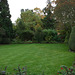 Fulbourn garden 2010-10-31 002