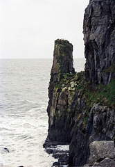 View from near St Govan's Chapel (Feb 1995 scan)