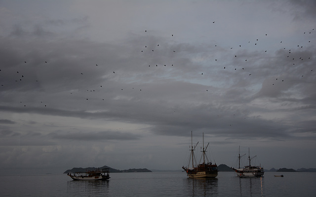 Indonesia, Evening on the Sea among the Islets of Komodo National Park (Migration of Flying Foxes)