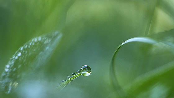 Goutte à goutte......